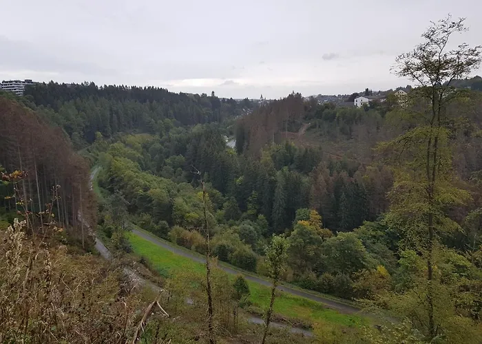 Altastenberger Apartmán *