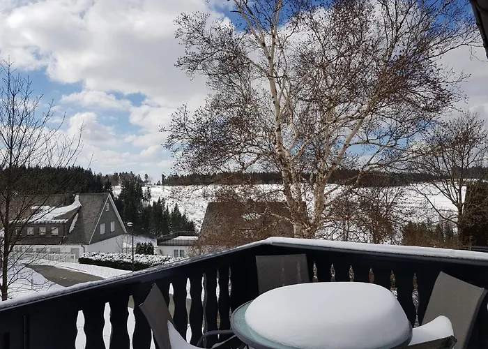 Altastenberger Daire *